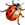 Marienkaefer 256